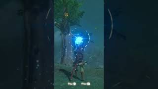 Have you tried this trick for apple tree Koroks? #shorts #botw #botwshorts #nintendo #zelda #viral