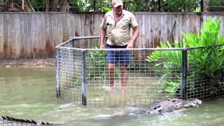 CRAZY MAN FEEDING GIANT CROCODILE