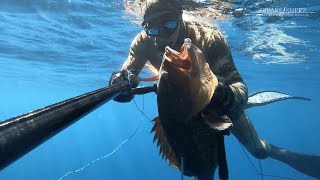 Spearfishing Tips & Lessons - Freefalling technique (CADUTA) on a big grouper | SPEARFISHERZ | 2.7K