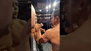 Robert Whittaker vs  Paulo Costa: UFC 298 Face-off