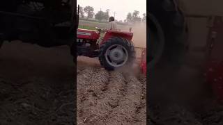 Massey Ferguson 240 tractor