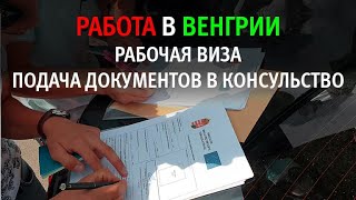 РАБОТА В ВЕНГРИИ - Работа в Европе после карантина