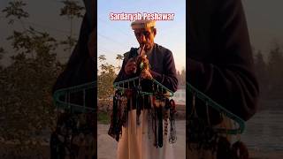 #bansuri #pekhawar #sardaryab #viral #reels #trending #ytshorts #shortsvideo #minivlog #vlogging