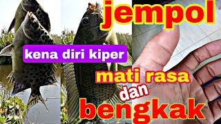 sepot mancing babon,dan ikan beracun, saya telah menjadi korban