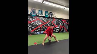 VHP Continuous Alternating Lateral Squat