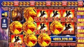 I bought 2x $12,500 bonus buys on Mustang Trail slot