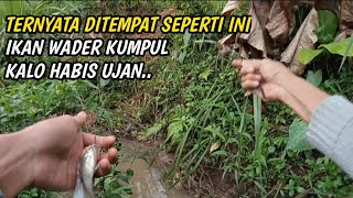 TERNYATA DISINI IKAN WADER BERKUMPUL BRO|mancing ikan wader teknik dasar umpan geleng