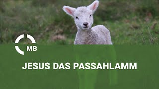 2. Mose 12 - Jesus das Passahlamm Gottes!? - Bibelvortrag von Gerhard Willems