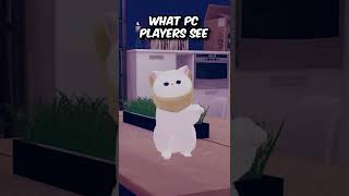 VRChat: What they see (Quest VS PC)