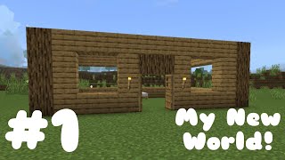 Minecraft #1 My New World!