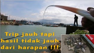 Ediyaaann !!! Kalau Jam Makan Tiba Tidak Sampai Setengah Menit Langsung Strike //Rabbitfishfishing