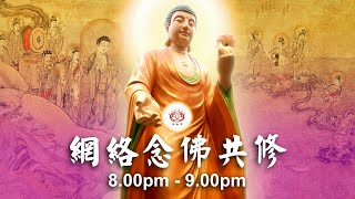 【同步】净土宗网络念佛【第1584天】+ 开示视频《念佛人的智慧》 19-07-2024 Online Recitation Session（晚上8pm-9pm (GMT+8))【打开CC字幕】