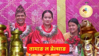 Marriage System in Tamang Community ।। तामाङ समुदायको विवाह परम्परा ।। घासा #ChandraTamang