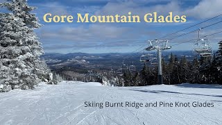 Gore Mountain Glades: Koala Review