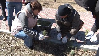 Первомайский район принял участие в международной акции Сад памяти