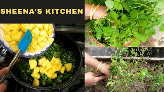 Aloo Methi Recipe/Methi Aloo Recipe/Organic Fenugreek Potato Recipe/  Sheena's Kitchen