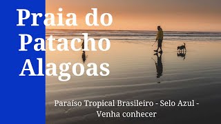 Praia do Patacho - Paraiso Tropical Brasileiro