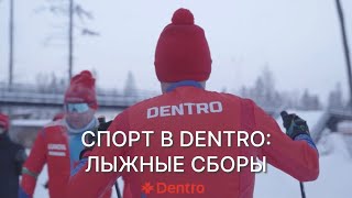 СПОРТ В DENTRO | КАК КОМПАНИЯ ПОДДЕРЖИВАЕТ СПОРТИВНЫЙ ДУХ В КОЛЛЕКТИВЕ? | ЛЫЖНЫЕ СБОРЫ #dentro