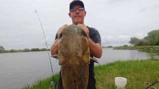 Master Angler MONSTER Flathead catfish!!! (My New PB)