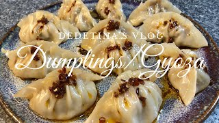 Homemade Dumplings/Gyoza Recipe || VLOG #26