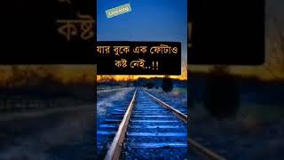 পৃথিবীতে এমন কোন মানুষ সেই যার কষ্ট নেই,,,#love_song  video