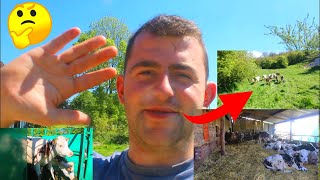 LE RETOUR DES VIDEOS !?! avec la mise a l'herbe des veaux