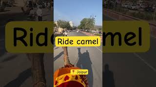 Ride camel at Jaipur  #travel #travel #delhi #goldentriangle