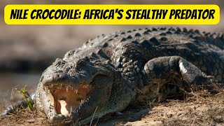 The Mighty Nile Crocodile: Africa's Apex Predator #crocodile #animals #wildlife #nature