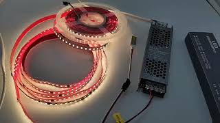 MJJC Dual White Running Water Effects SMD 2835 LED Strip Lights 126LEDs/M 24V 10M 20M 30M