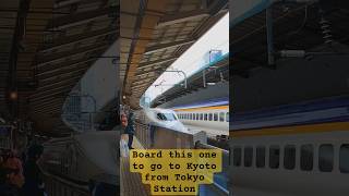 Bullet Train arriving in style at Tokyo Station