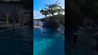 La Corbel Beach Resort Palawan drone footage swimming pool