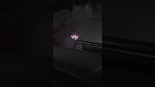 HE GOT CAUGHT! #cops #firstresponders #uscops #police #lawenforcement #nyecounty