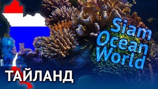 Тайланд 2013 #1 - Океанариум Siam Ocean World (Бангкок)