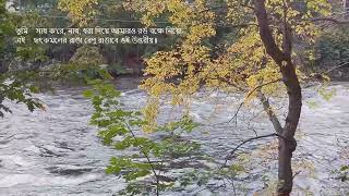 aha tomar songe praner khela -- Rabindrasangeet by Amitava Sen