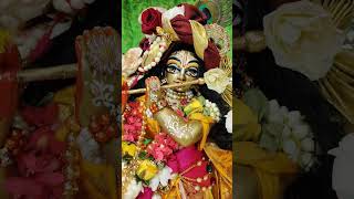 Daily Wonderful Radha Madhava Darshan #isckon #wonderful #radhakrishna #darshan #radhamadhava