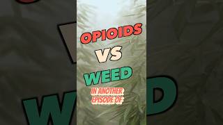 Is WEED better than Opioids?