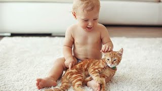 Baby cat with funniest dog video #funnycat compilation #hera pheri best comedy scene paresh rawal