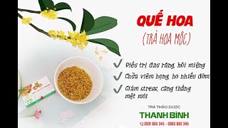 Quế Hoa (Trà Hoa Mộc)  - Địa chỉ bán quế hoa tại TPHCM chất lượng và giá tốt nhất