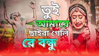 তুই আমারে ছাইরা গেলি রে বন্ধু | Onek koster Gaan | 2024  Bangla Song #LabibaMusic