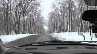 Sandy in the Allegheny Mts.