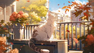 Happy Autumn Morning 🍁 Quiet Mind 🍁 [ Lofi Beats - Lofi Hip Hop Chill to Study / Relax ] Lofi Cat 🐱