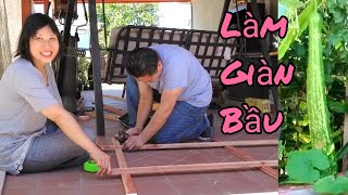 Làm giàn trồng bầu sao, bí ngòi, dưa lưới, sung vàng, việt quất ở Mỹ