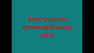 +Природні зони Африка Вологі екваторіальні ліси