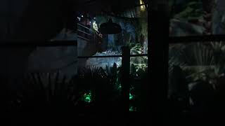 Jurassic World The Exhibition - The Indominus Rex