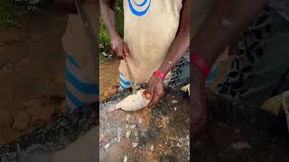 Fast and Amazing Live Tilapia Fish Cutting #shorts