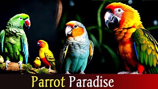 Parrot Paradise: Capturing Nature's Vibrant Beauty