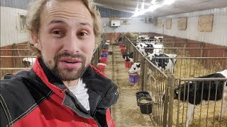 Feeding Calves, Fixing Equipment. (episode #16)