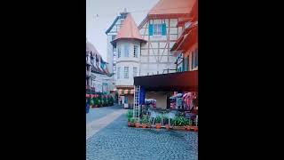 COLMAR TROPICALE