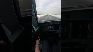 Moscow Domodedovo positive touchdown #airbus #cockpit #landing #aviation #a320