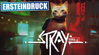 Ersteindruck nach 30 Minuten Gameplay - Stray - DEUTSCH